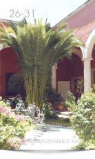 Otra vista de las estatuillas en los Jardines del Interior del Museo Regional de Historia en Aguascalientes, Ags. México