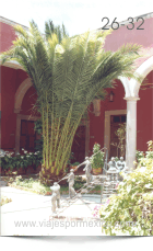Estatuillas en los Jardines del Interior del Museo Regional de Historia en Aguascalientes, Ags. México