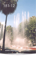 Aguas danzarinas con su palmera al frente en el Parque Museo de las tres Centurias en Aguascalientes, Ags. México