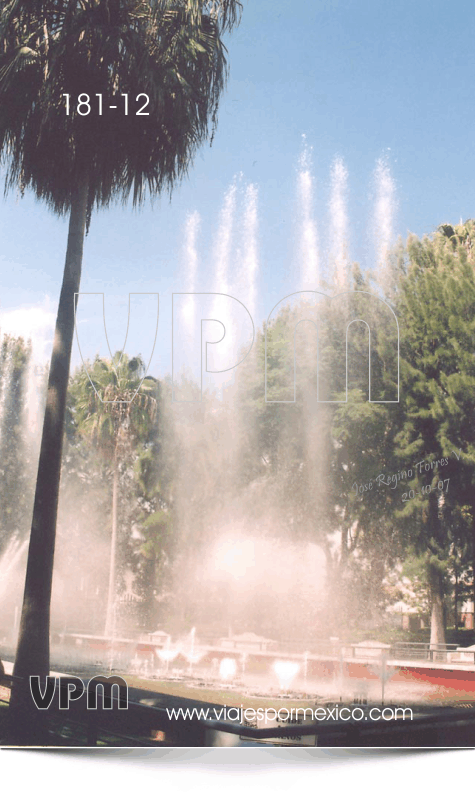 Aguas danzarinas con su palmera al frente en el Parque Museo de las tres Centurias en Aguascalientes, Ags. México