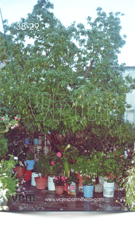 Macetas de flores en uno de los hoteles en Real de Catorce, S.L.P. México