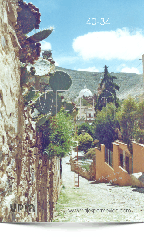 Nopaleras en la calle del Jardín de Real de Catorce, S.L.P. México